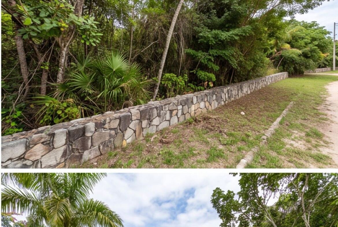 Terreno com projeto aprovado em Três Carneiros — quarto