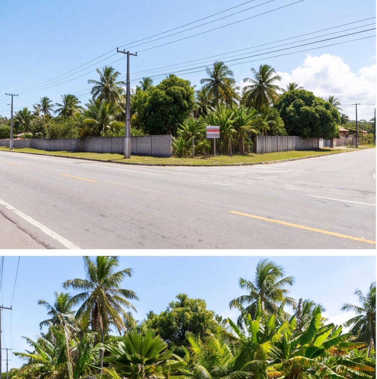 Terreno comercial em Ipojuca na rota de Porto de Galinhas — sala