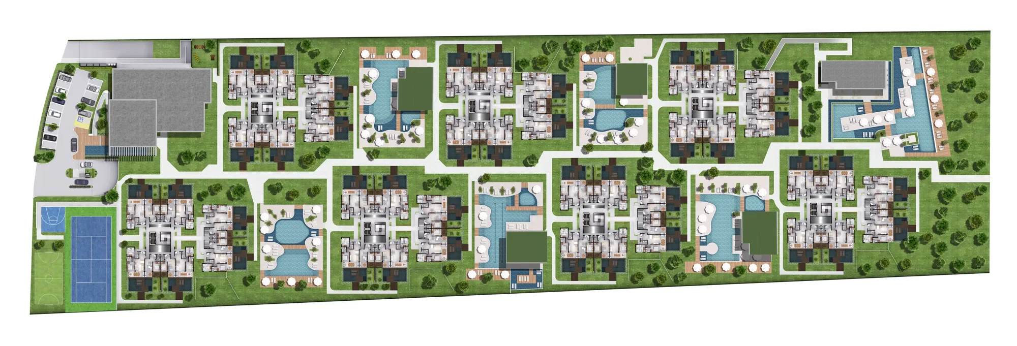 Planta 5